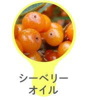 シーベリーオイル