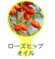 ローズヒップオイル