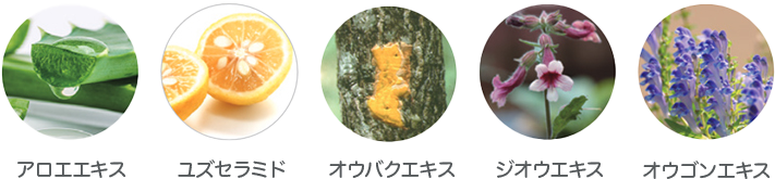 オウバクエキス ユズセラミド アロエエキス ジオウエキス オウゴンエキス