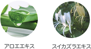 アロエエキス　スイカズラエキス