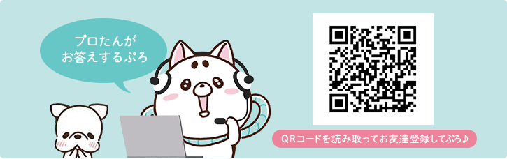 プロたんがお答えするぷろ QRコードを読み取ってお友達登録してぷろ♪