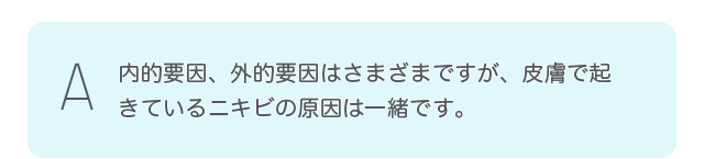 IvAOIv͂܂܂łA畆ŋNĂjLř͈ꏏłB